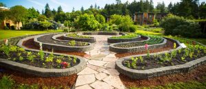 Maximizing Your Property’s Potential: Expert Landscape Design Tips for Long Island Homes